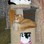 SugarCatz Gang