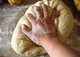 Co-Op Idea Isn't Half a Loaf -- It's Half-Baked