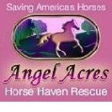 Angel Acres Horse Haven Rescue