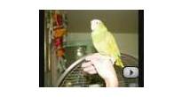  Urgent: Bird sanctuary being forced to move
