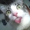 Kactus Kat
