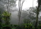 Can Fair Trade Stop Global Warming?