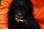 ENDANGERED SPECIES INTERNATIONAL