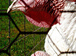 Nebjlsmlumruowb-76x56-cropped