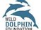Wild Dolphin Foundation