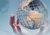 Social Entrepreneurship