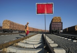 Illegal logs, Russia