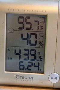 temp