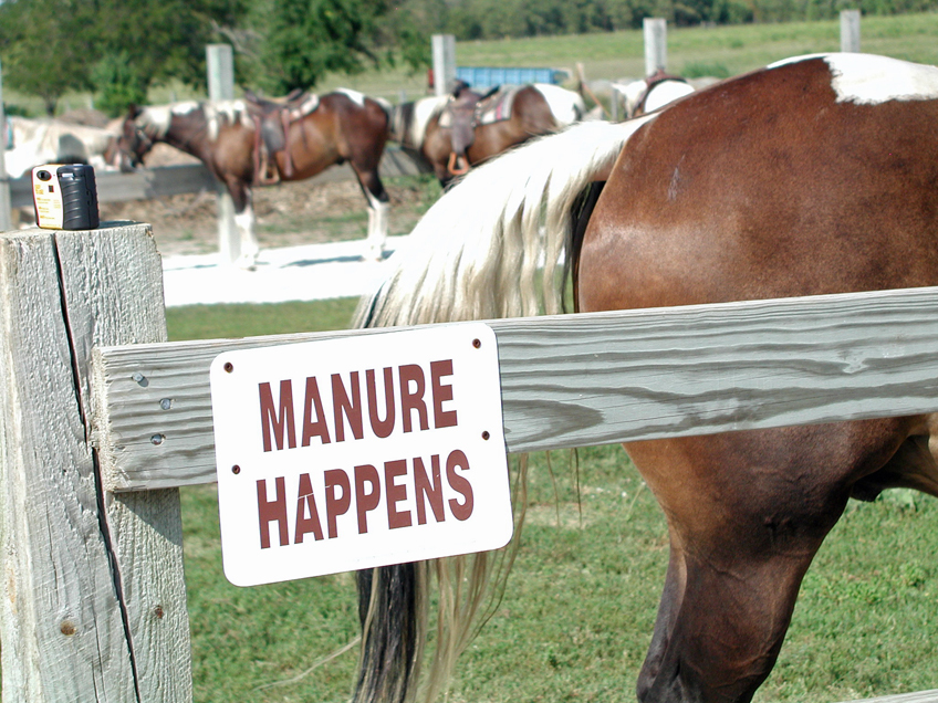 horse manure