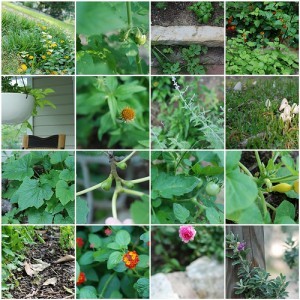 A sampling; by j.e.n.n.y.