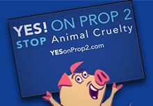 HSUS\'s deceptive Prop 2 pig