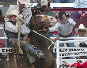 Rodeo horse being shocked; photo by SHARK