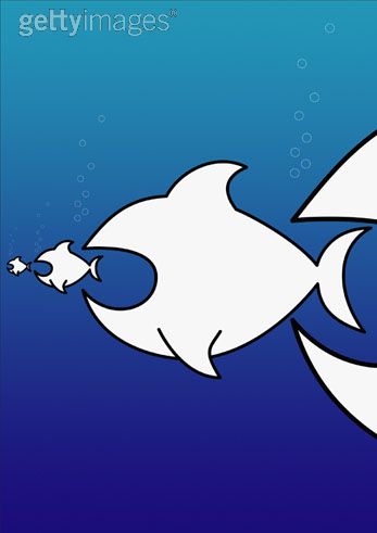 coygilhidu: Food Chain Shark