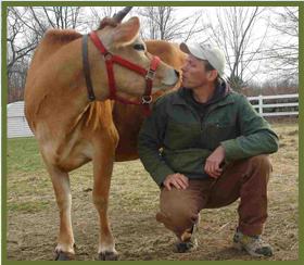 harold-and-cow