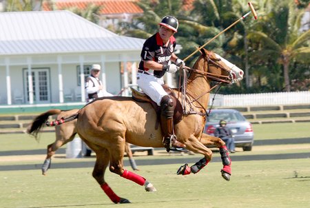 polo
