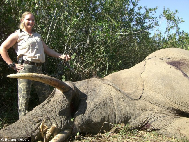 elephant-hunt