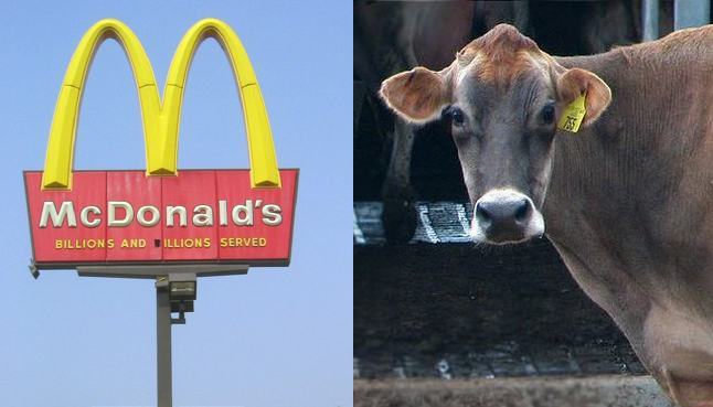 mcdonalds-dairy-industry