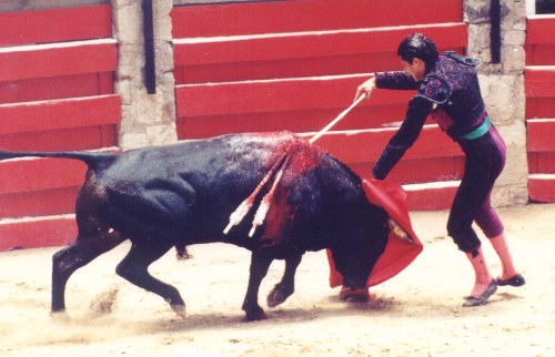 bullfighting2