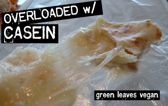 quarrygirl-casein-overload