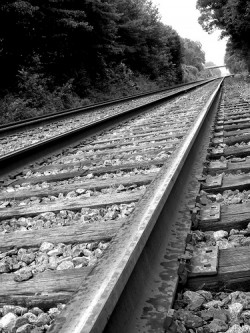 train-tracks
