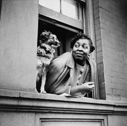 Photo credit: Gordon Parks