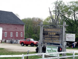 bonniedale-farm-300x225