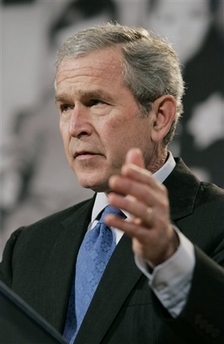 Bush