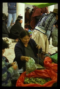 Bolivian coca market; by relapsed nun