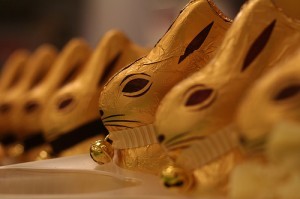 Chocolate rabbits; by Greencolander