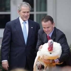bush-turkey