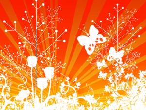 butterfly