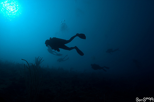 dive