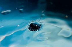 Ocean Acidification Stretches Across the Pacific