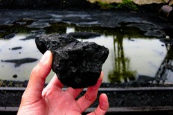 coal