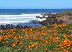 Texas Wants to Mess with California’s Climate Laws