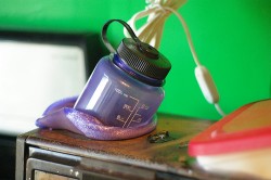 The EPA Joins the Fight Against BPA