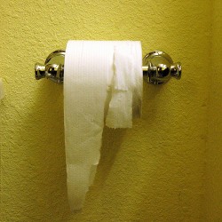 toilet paper