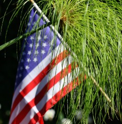 10 Ways To Celebrate Labor Day, Sustainable Style
