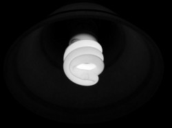 Dont Change Your Light Bulbs in the Dark