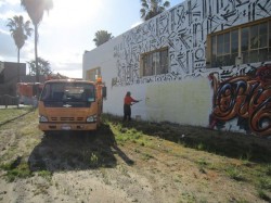 Mural Whitewash