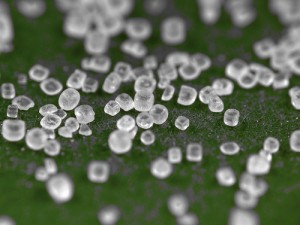 Grains of salt; by kevindooley