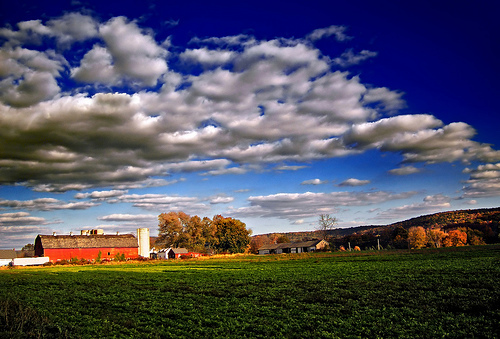 farmview