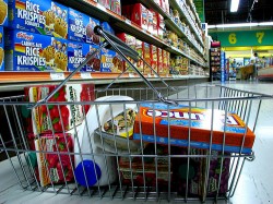 grocery cart