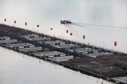 Salmon Farm Pen