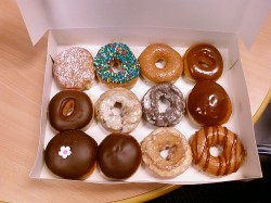 doughnut