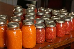 Jars of Tomato Sauce