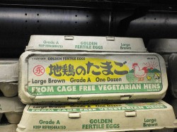 Cage Free Eggs