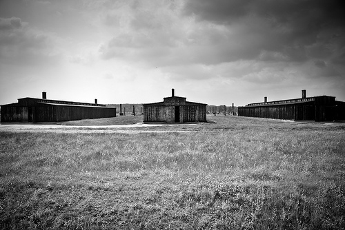 auschwitz-birkenau