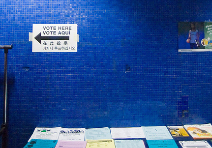 Voting