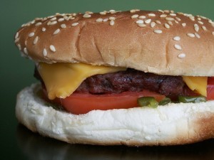 Hamburger; by elecnix
